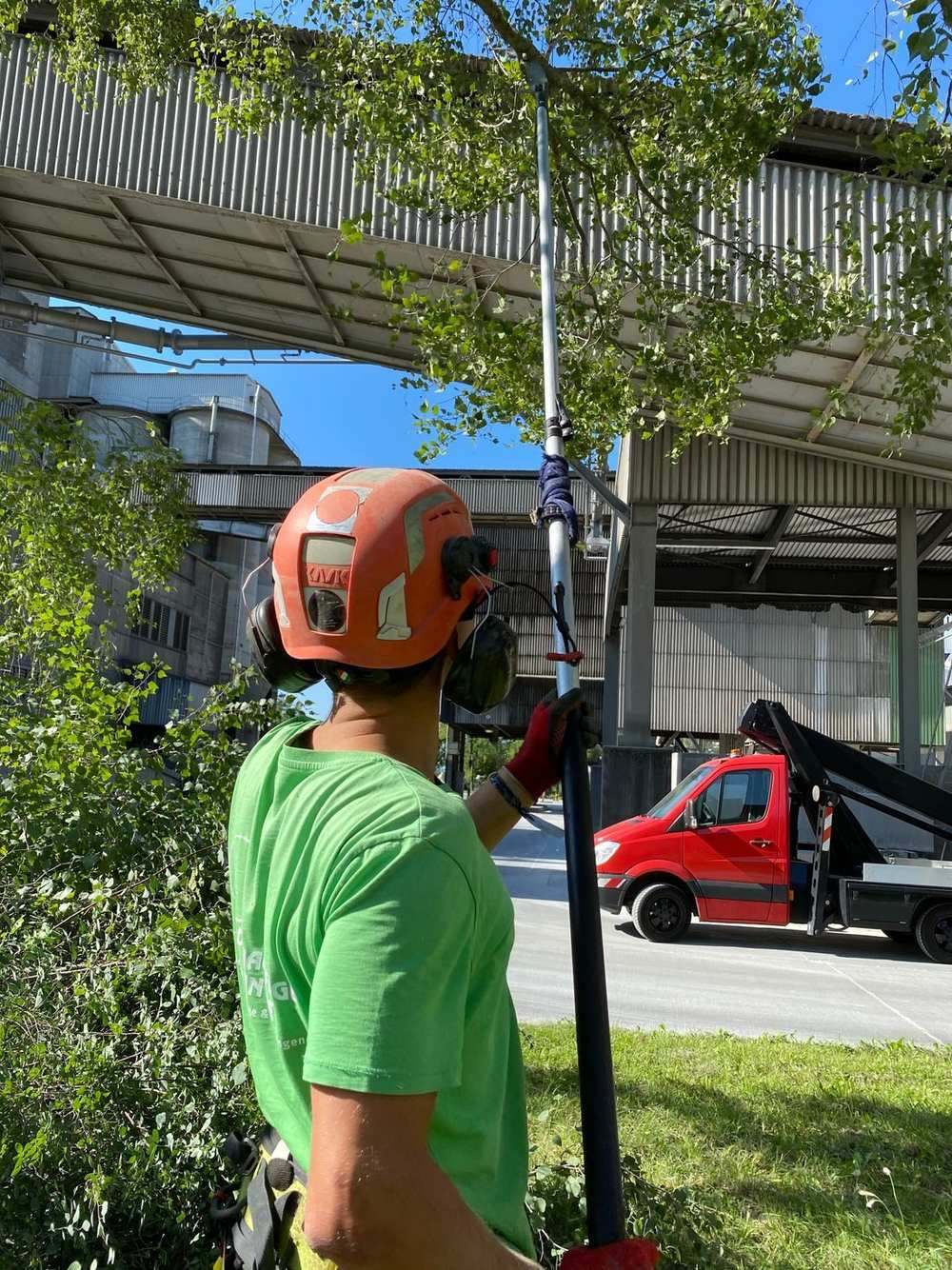 Élagueur casqué taillant en hauteur à la perche élagueuse, camion à proximité