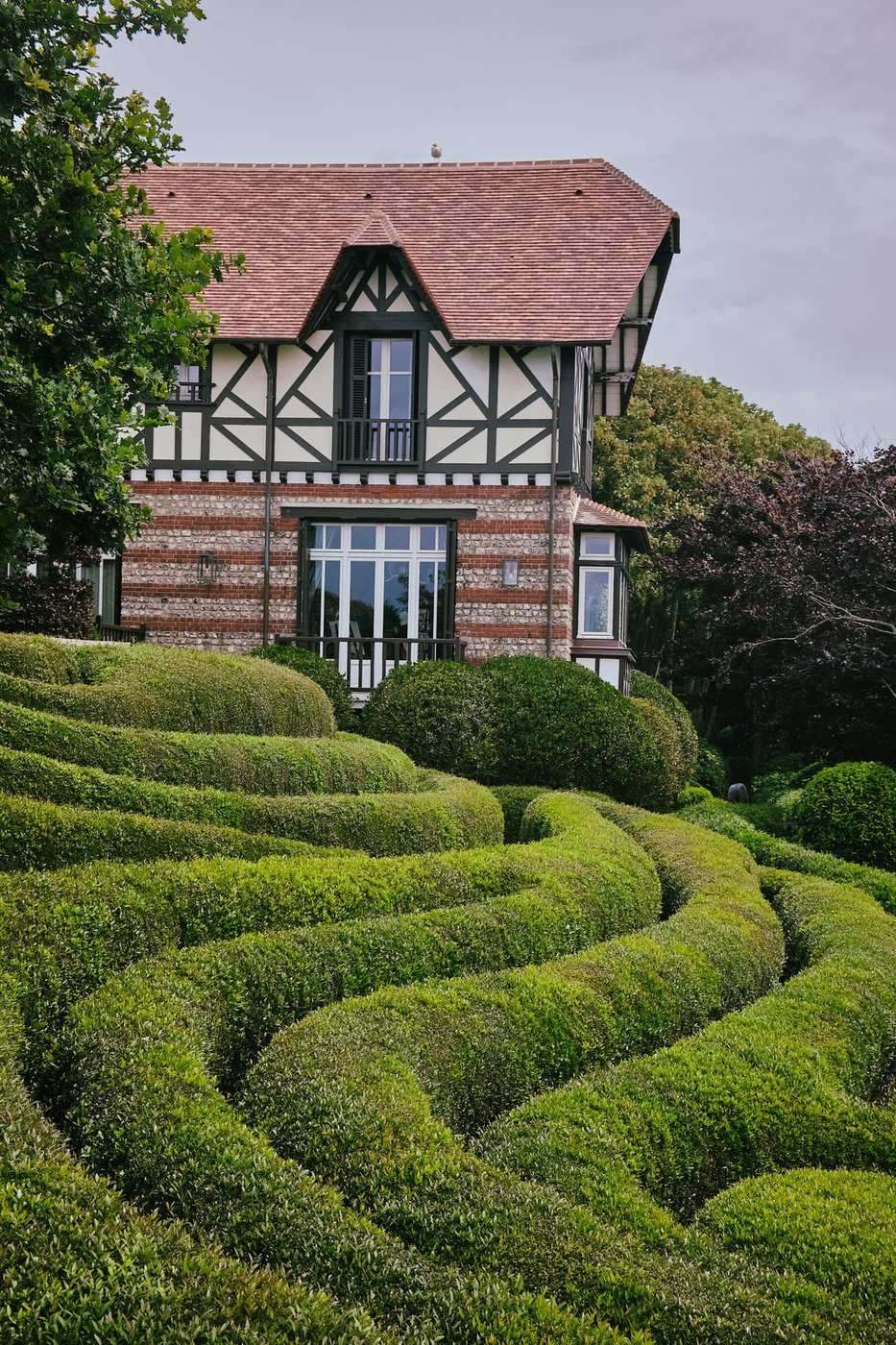 Haies taillées en vagues régulières dans un jardin paysager