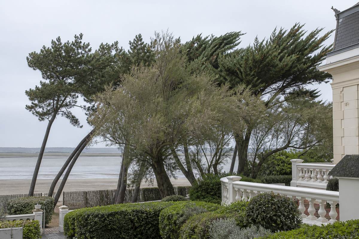 Jardin de front de mer à Cabourg, pins et tamaris couchés par le vent devant la balustrade blanche d'une villa Belle Époque
